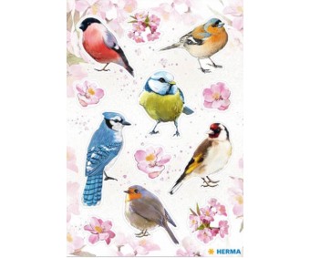 Kleepsud Decor - akvarell-linnud