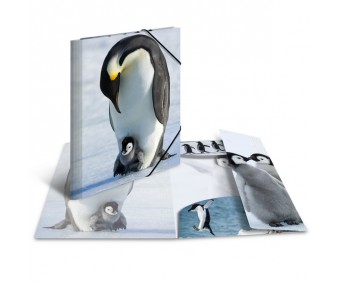 Plastikust mapp Herma A3, läikiv - pingviin