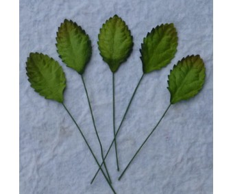 Lehed mooruspuu paberist (mulberry) - 30mm 10 tk, roheline