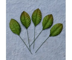 Lehed mooruspuu paberist (mulberry) - 35mm 10 tk, roheline