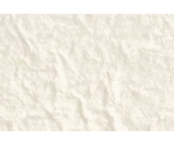 Mooruspuu paber 38.5x51cm - valge